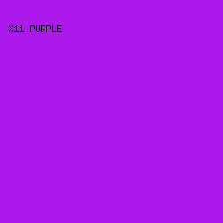 AD19EB - X11 Purple color image preview