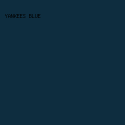 0E2D3F - Yankees Blue color image preview