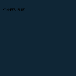 0F2636 - Yankees Blue color image preview