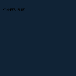 102336 - Yankees Blue color image preview