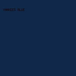 102849 - Yankees Blue color image preview