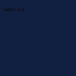 111F41 - Yankees Blue color image preview