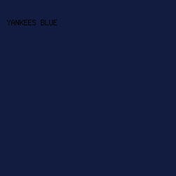 121C40 - Yankees Blue color image preview