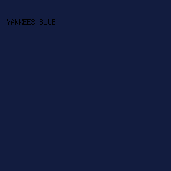 121c3f - Yankees Blue color image preview