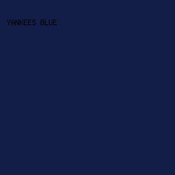 121e48 - Yankees Blue color image preview