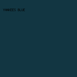 123642 - Yankees Blue color image preview