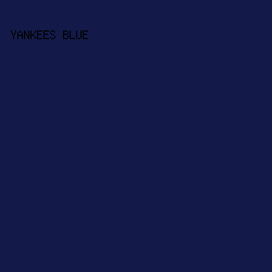 131a49 - Yankees Blue color image preview