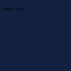 13203F - Yankees Blue color image preview