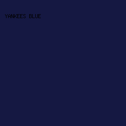 151842 - Yankees Blue color image preview