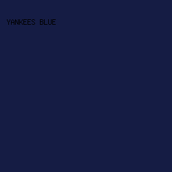 151C44 - Yankees Blue color image preview
