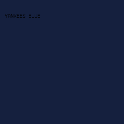 15203E - Yankees Blue color image preview