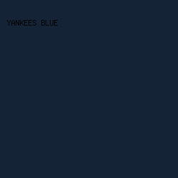 152336 - Yankees Blue color image preview