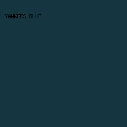 153541 - Yankees Blue color image preview