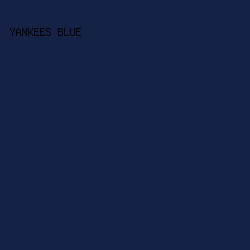 162245 - Yankees Blue color image preview