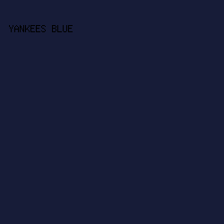 171C38 - Yankees Blue color image preview