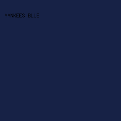 172246 - Yankees Blue color image preview