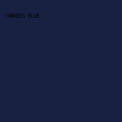 182141 - Yankees Blue color image preview