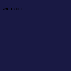 191944 - Yankees Blue color image preview