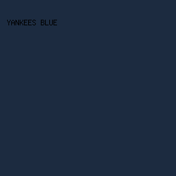 1C2B40 - Yankees Blue color image preview