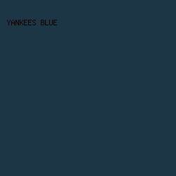 1C3645 - Yankees Blue color image preview