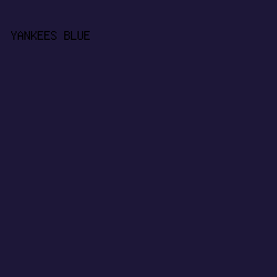 1D1738 - Yankees Blue color image preview