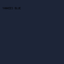 1D2538 - Yankees Blue color image preview
