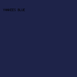 1E2349 - Yankees Blue color image preview