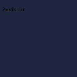1E253E - Yankees Blue color image preview