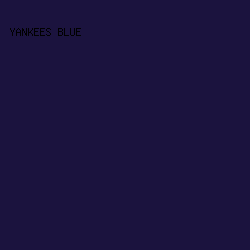 1b133e - Yankees Blue color image preview