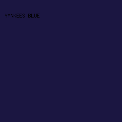 1b1641 - Yankees Blue color image preview