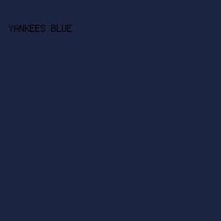 1b2441 - Yankees Blue color image preview