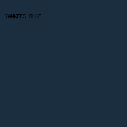 1b2e3f - Yankees Blue color image preview