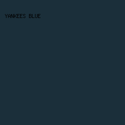 1b2f3a - Yankees Blue color image preview