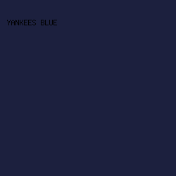 1c203e - Yankees Blue color image preview