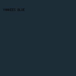 1c2d37 - Yankees Blue color image preview
