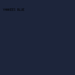 1d253b - Yankees Blue color image preview