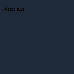 1e2a39 - Yankees Blue color image preview