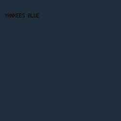 212e3e - Yankees Blue color image preview