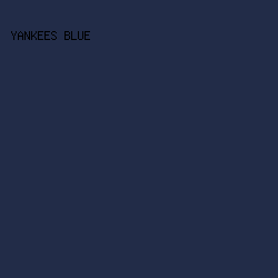 222c48 - Yankees Blue color image preview