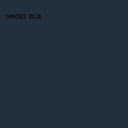 222f3d - Yankees Blue color image preview