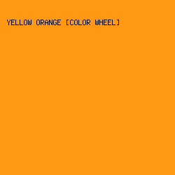 FF9812 - Yellow Orange [Color Wheel] color image preview