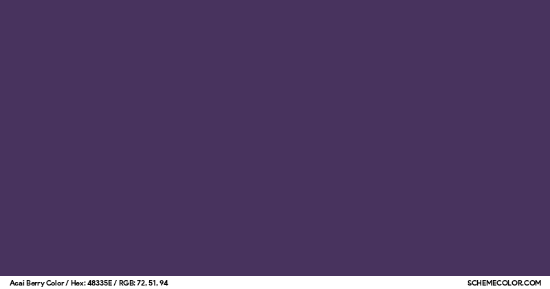 Acai Berry Color - Colors - SchemeColor.com