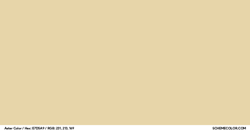 Aster Color - Colors - SchemeColor.com