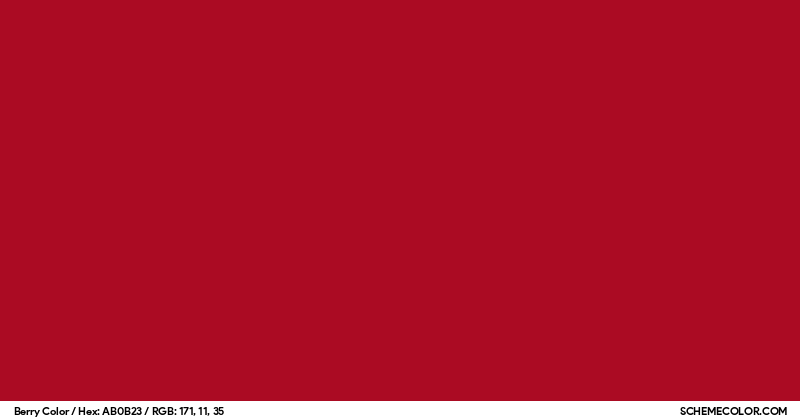 Berry Color - Colors - SchemeColor.com