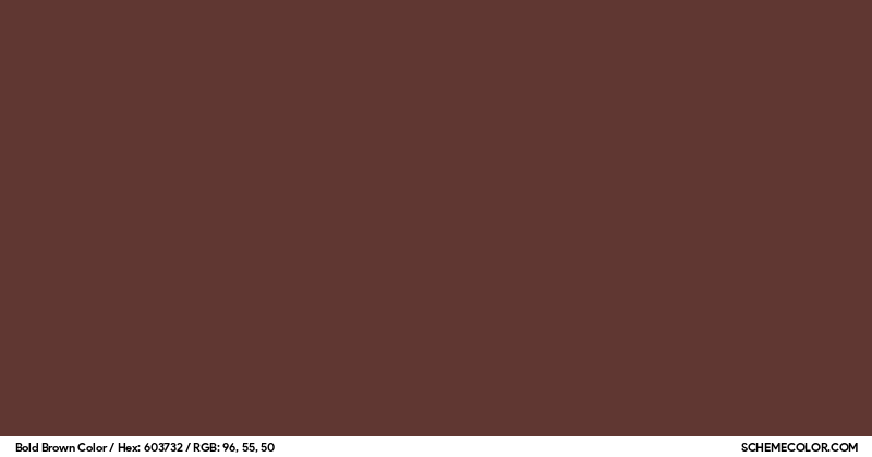 Bold Brown Color - Colors - SchemeColor.com