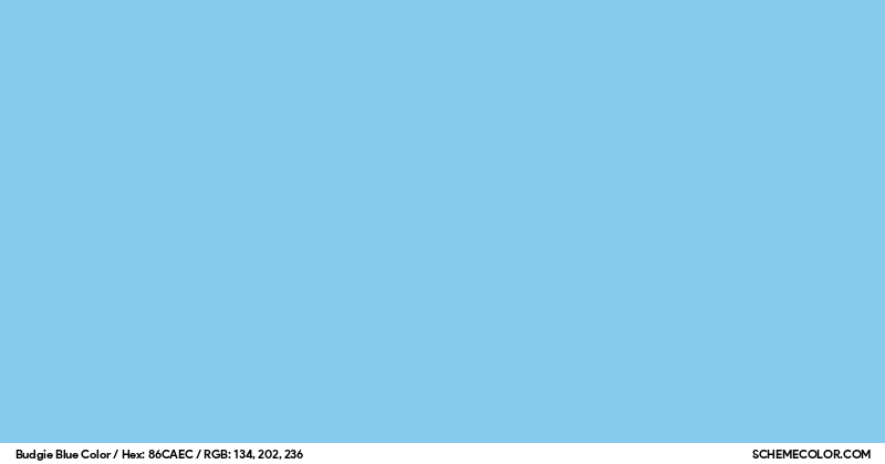 Budgie Blue Color - Colors - SchemeColor.com