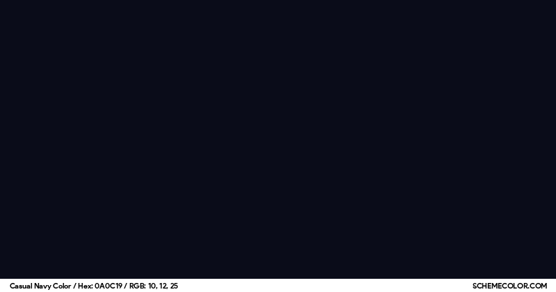 Color Preview Image of 0A0C19