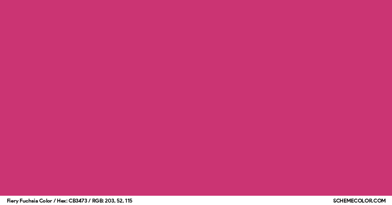 Fiery Fuchsia Color - Colors - SchemeColor.com