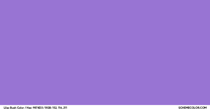 Lilac Bush Color - Colors - SchemeColor.com