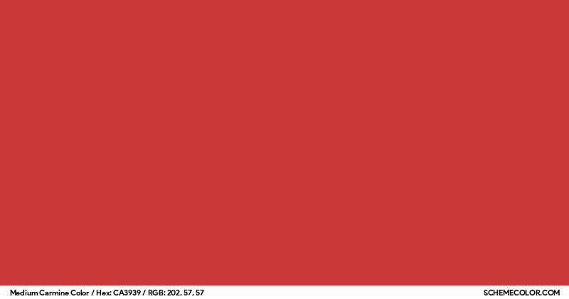 Medium Carmine Color - Colors - SchemeColor.com
